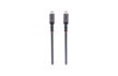CAB-USBC-T200X_Top_2xUSB-C.png